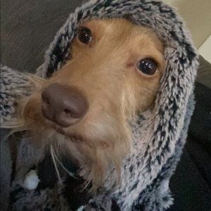 Meet your Posher, Patrick